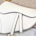 「#2255」 dior 3351 White tabby  25×6×20cm