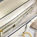 「#2255」 dior 3351 White tabby  25×6×20cm