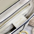 「#2255」 dior 3351 White tabby  25×6×20cm