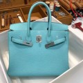「#4131」 Hermès Macaron Silver Buckle Birkin Bag 30cm