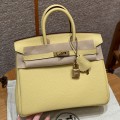 「#4138」 Hermès Chicken Gold Buckle Birkin Bag 25cm