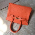 「#4153」 Hermès Orange Ostrich Gold Buckle Birkin Bag 30cm