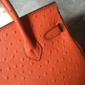 「#4153」 Hermès Orange Ostrich Gold Buckle Birkin Bag 30cm