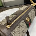 「#3757」GUCCI  Ophidia 795194 24✖️12✖️12