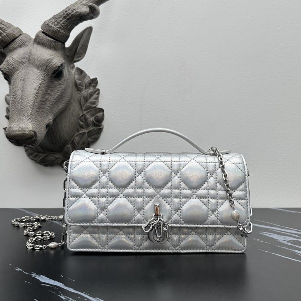 「#2173」 dior 1128 Matte Silver 21×11.5×4.5cm 「#2173」 dior 1128 Matte Silver 21×11.5×4.5cm