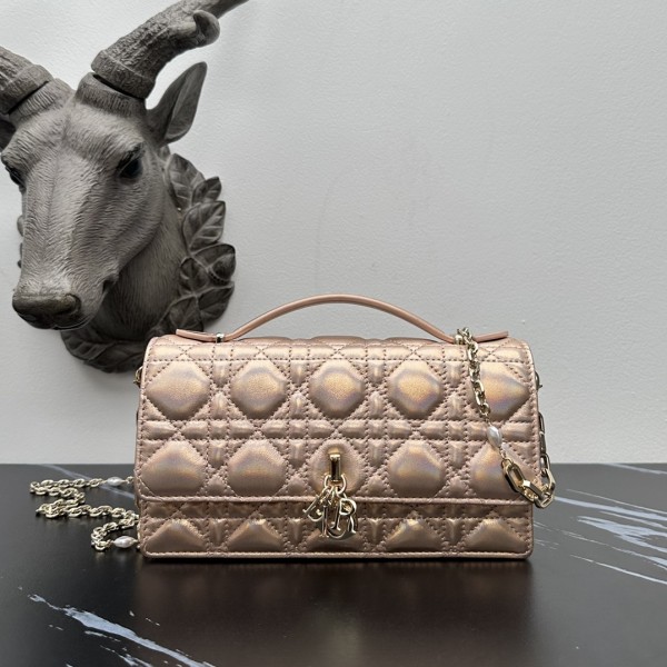 「#2174」 dior 1128 Gold Bronze 21×11.5×4.5cm